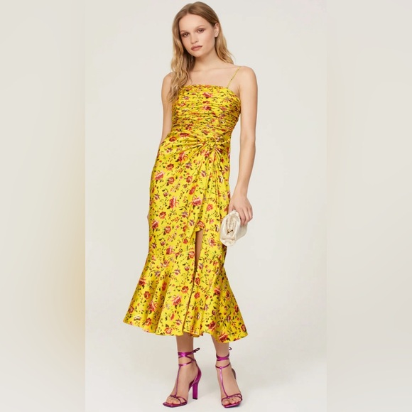 NWT Cinq a Sept Provence Katz Dress - Picture 1 of 9